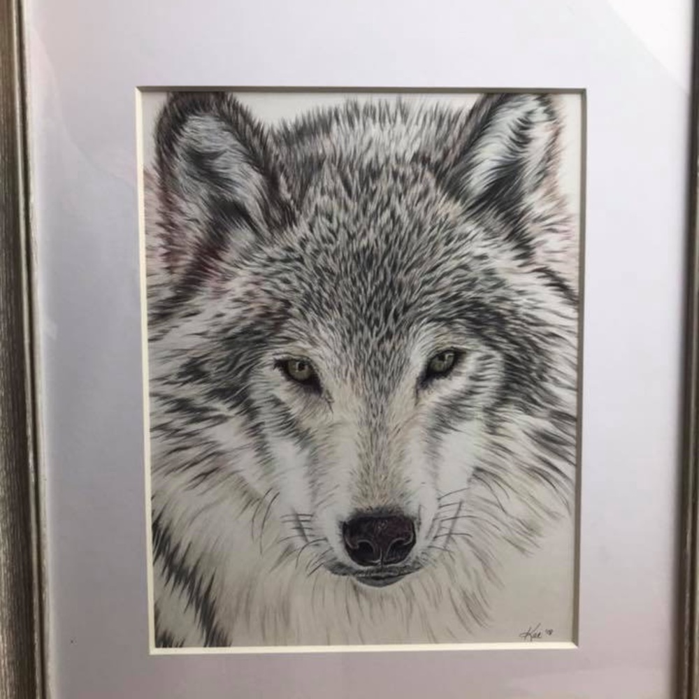 Framed wolf drawing
